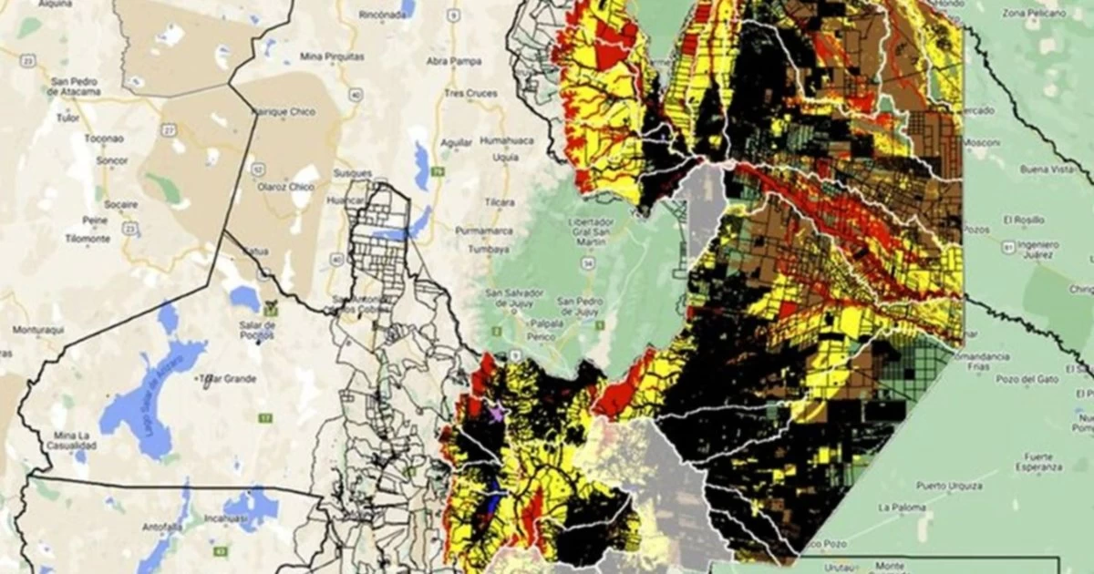 Nuevo Ordenamiento Territorial De Bosques Greenpeace Es La Voz Del